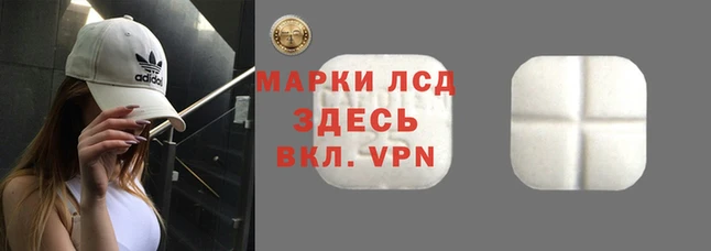 PSILOCYBIN Верхний Тагил