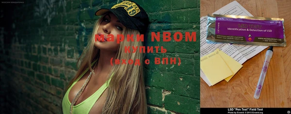 PSILOCYBIN Верхний Тагил