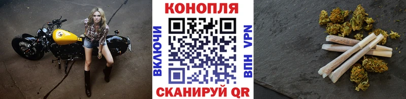 купить наркоту  omg рабочий сайт  МАРИХУАНА THC 21%  Кировград 